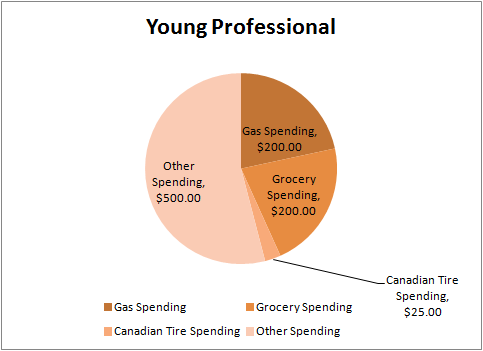 Young Professional Pie Chart
